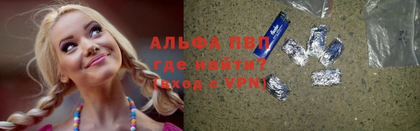 сатива Горно-Алтайск