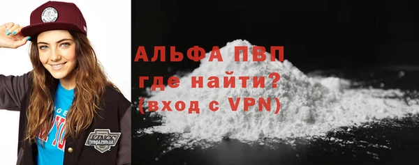 spice Горняк