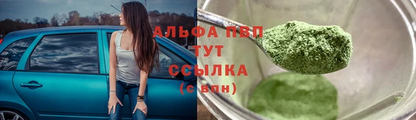 spice Горняк