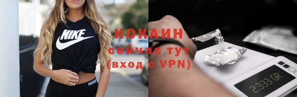 сатива Горно-Алтайск