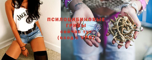 МДПВ Зеленодольск