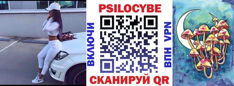 Псилоцибиновые грибы Psilocybe  Заинск 