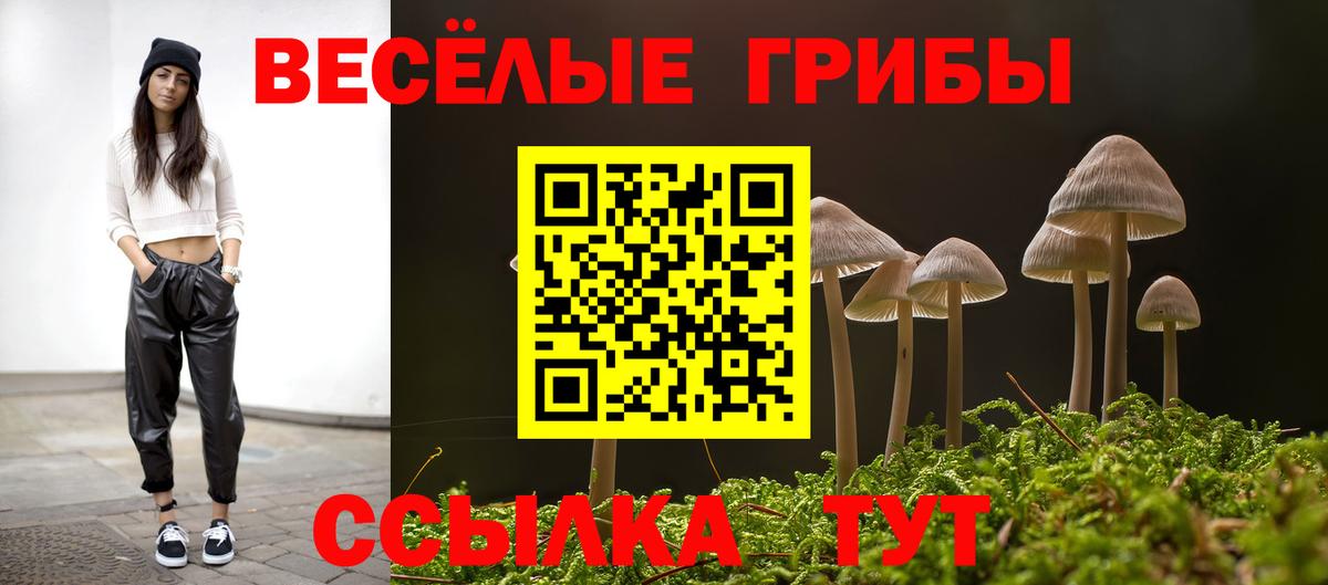 Псилоцибиновые грибы MAGIC MUSHROOMS  Псилоцибиновые грибы Magic Shrooms  Вход с VPN  Заинск 